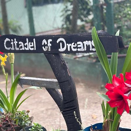 Citadel Of Dreams Ella 아파트 외부 사진
